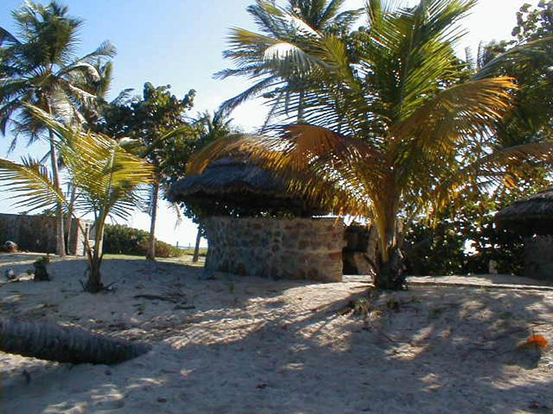 P1010047
