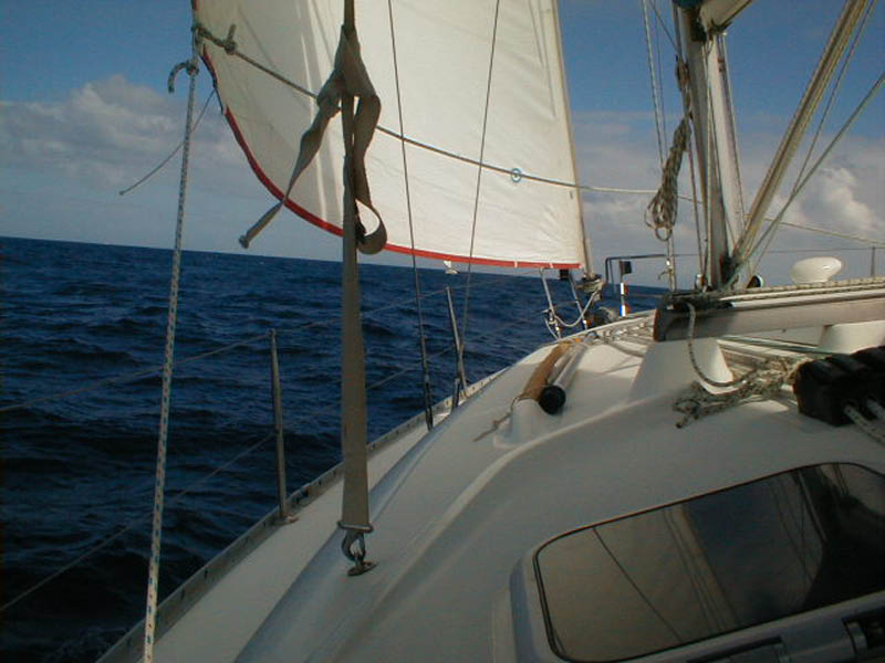 P1010079