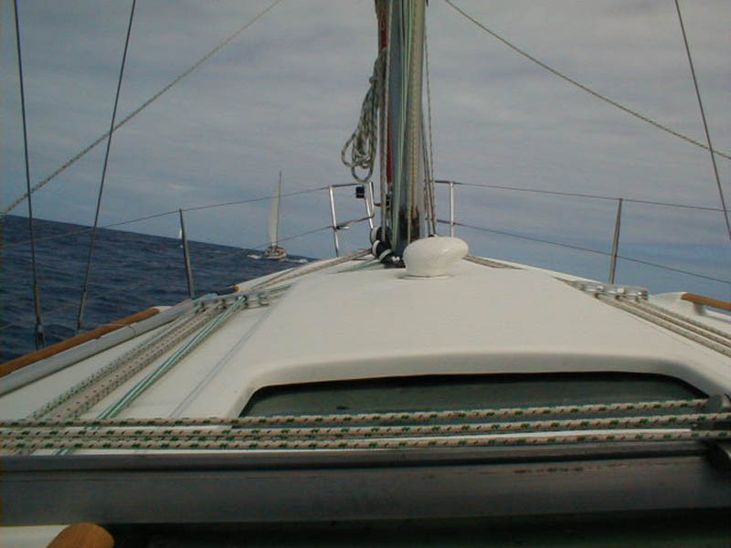 P1010082 (2)