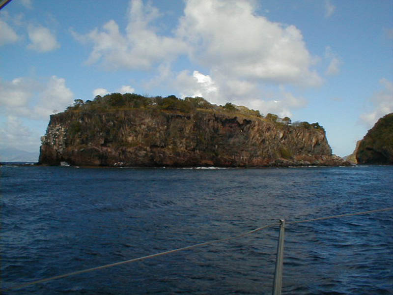 P1010103