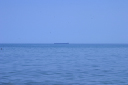 103_0338
