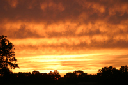 IMG_0769