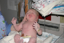 IMG_3308_000CRW_3683 (2)