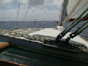 P1010030