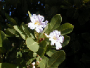 P1010044 (2)