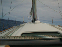 P1010082 (2)