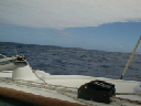P1010086