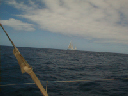 P1010089